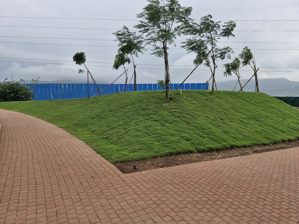 WhatsApp Image 2024-08-14 at 10.21.41 PM (4)