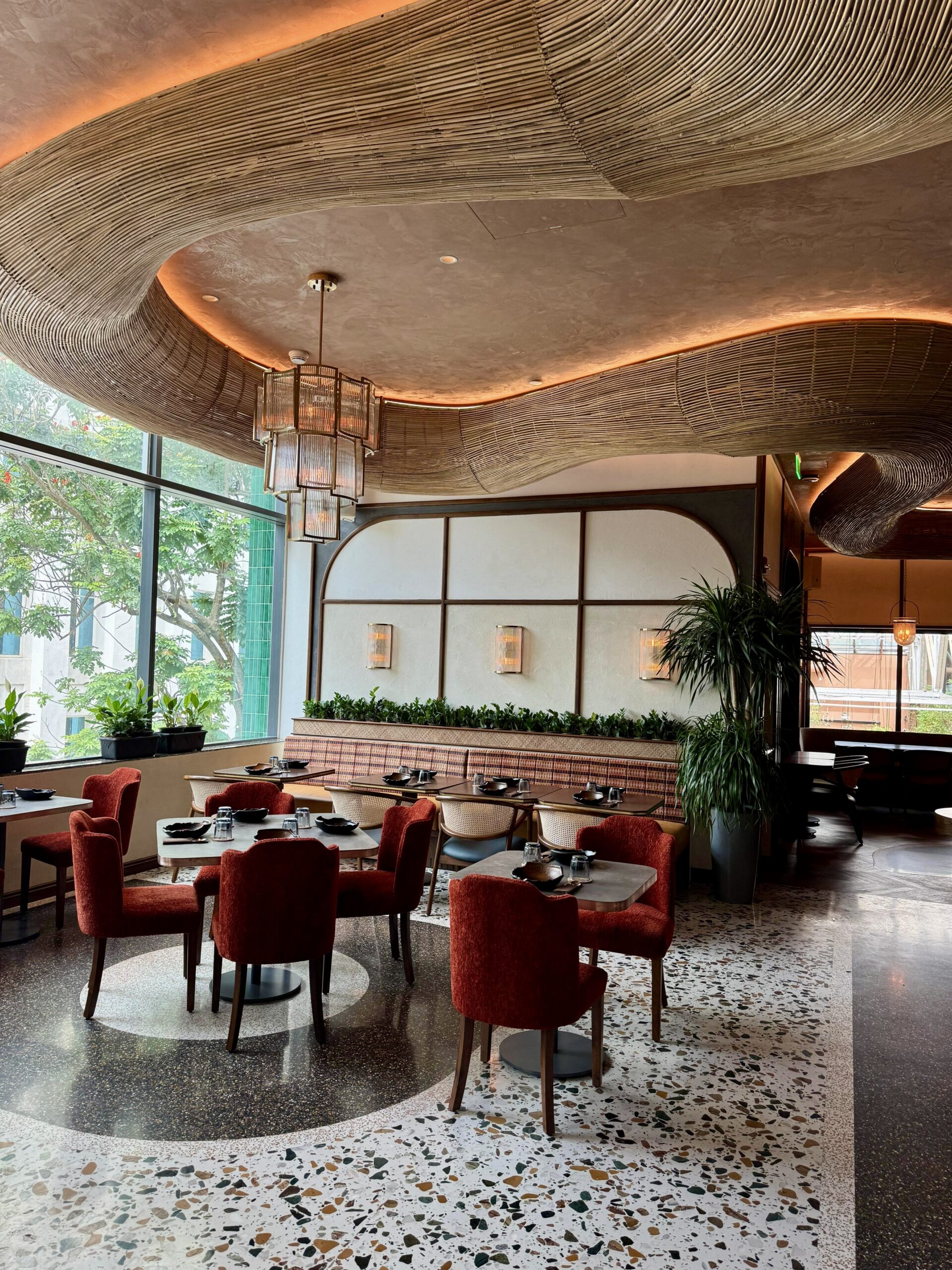 45536828-4340-4B8E-906D-053A6C4C1221_1_201_a